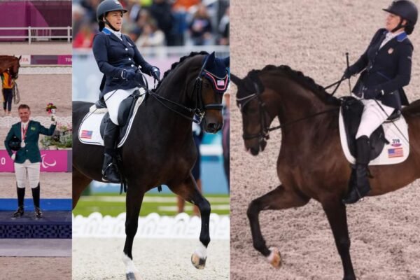 2024 Paralympic Games: A Spotlight on Para Equestrian Events