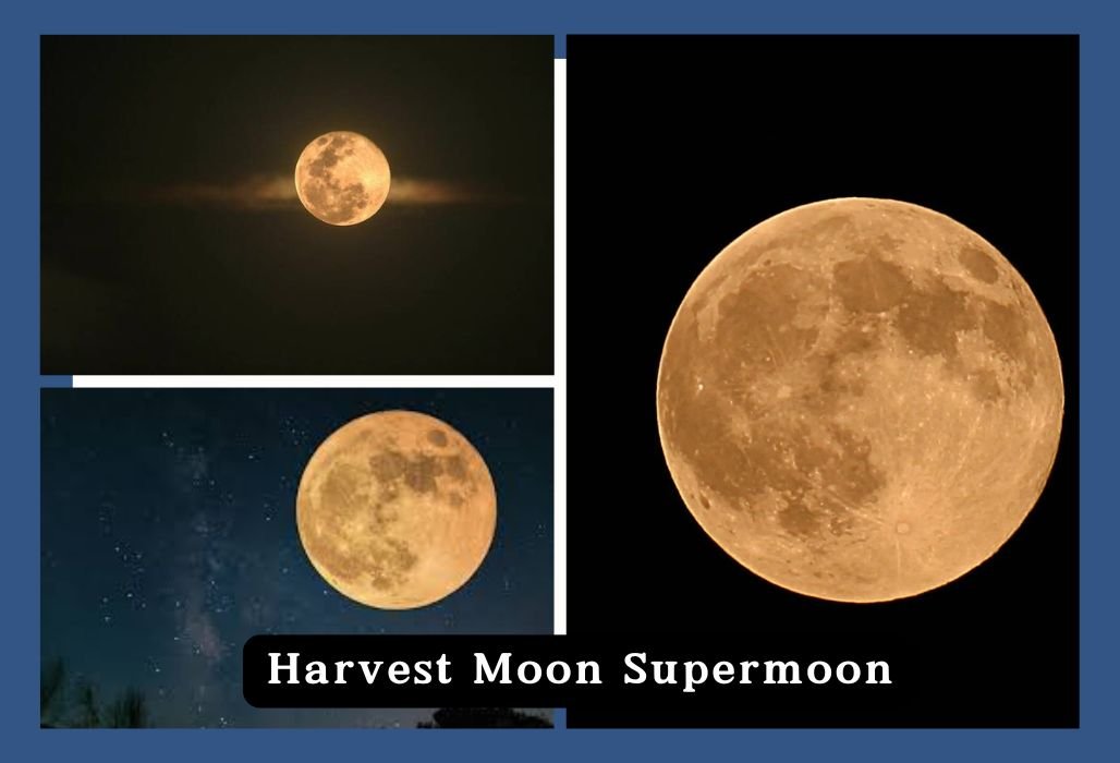Don't Miss the Harvest Moon Supermoon Lunar Eclipse Tonight What You Need to Know