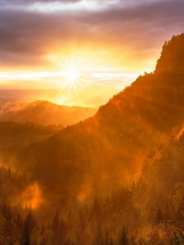 5 Benefits of a Morning Routine That Can Transform Your Day