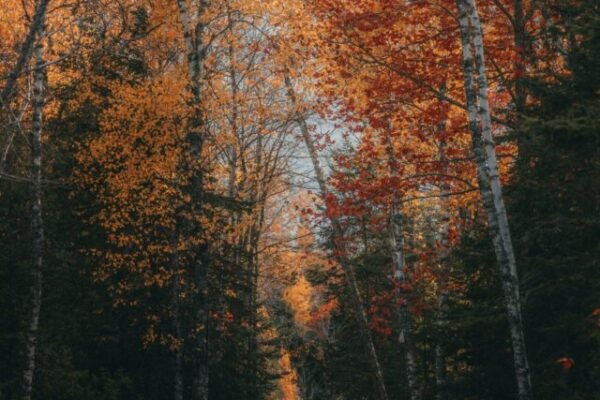 Top 5 Places to Visit This Fall in the USA