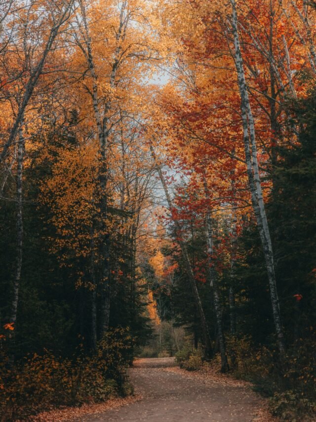 Top 5 Places to Visit This Fall in the USA